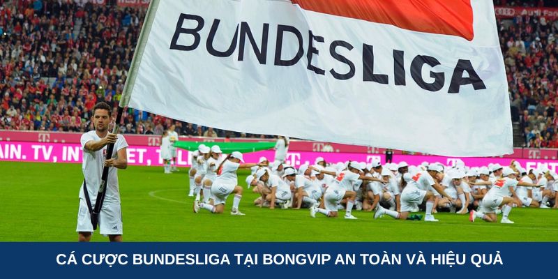 Cá cược Bundesliga tại Bongvip an toàn và hiệu quả